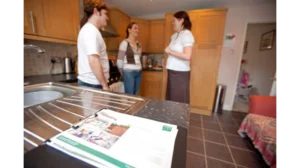 Home Upgrading Advice Mintpalment: A Complete Guide