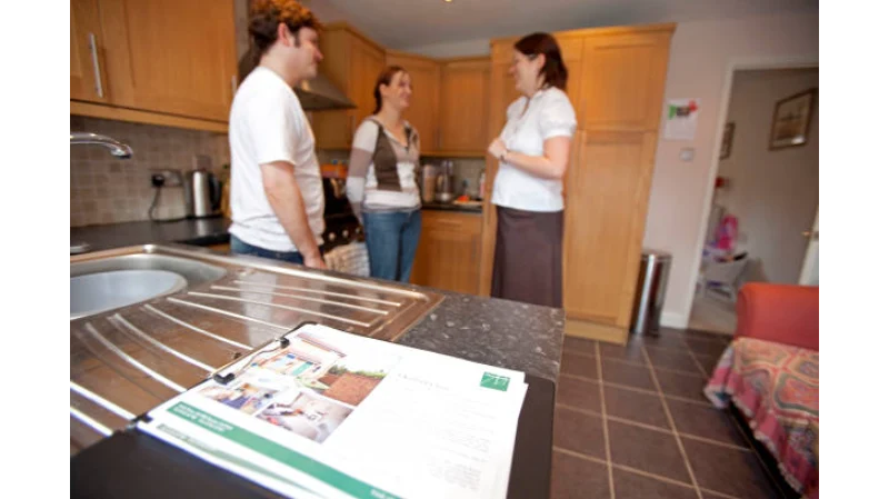 Home Upgrading Advice Mintpalment: A Complete Guide